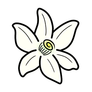 azahar 要不要為它花錢？一款免費開源 3DS 模擬器的價值算盤