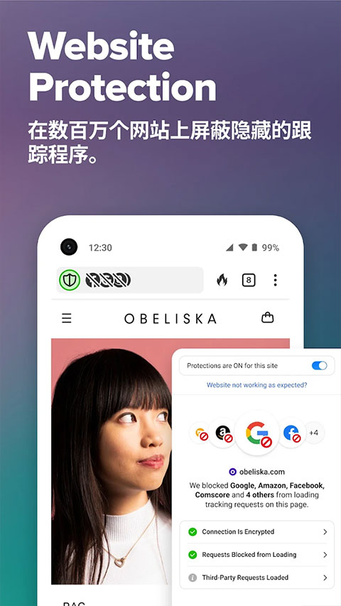 瀏覽過程中盾牌顯示的保護數據