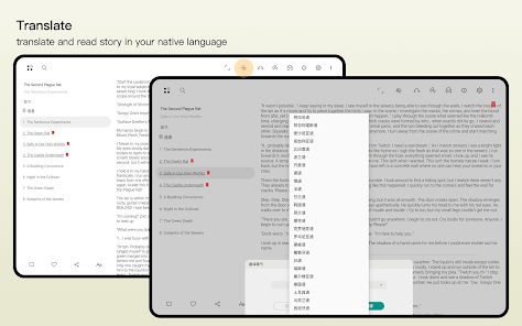 FF.net 設置頁面