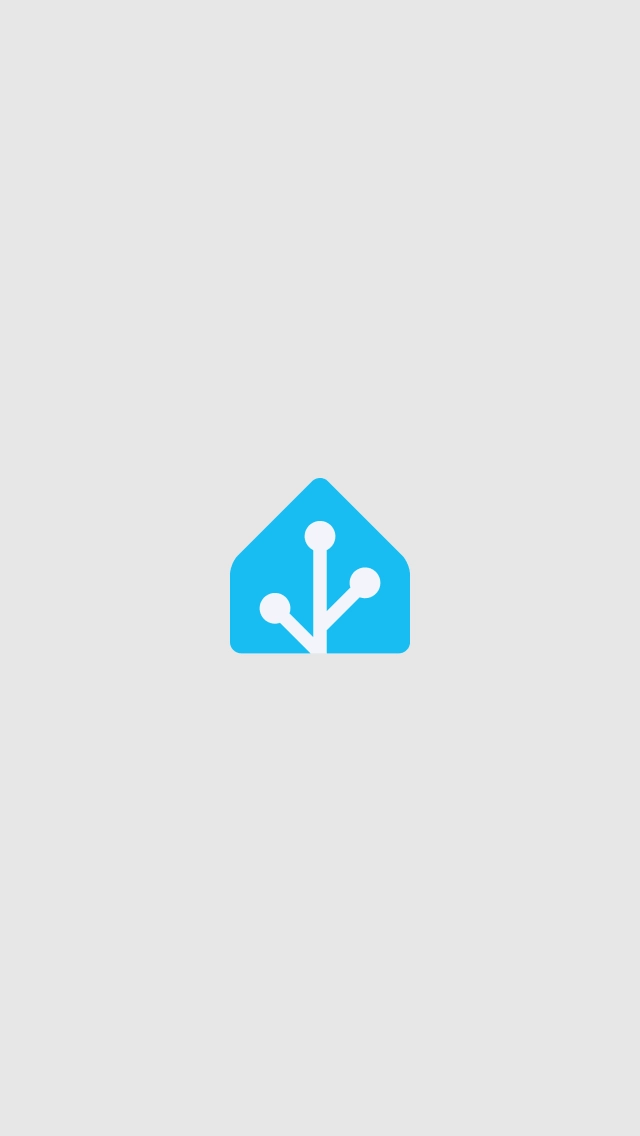 App 載入畫面