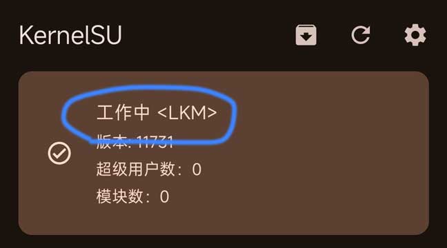 kernelsu 管理器內核 LKM 加載正常的畫面