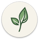 Android 端 LeviLauncher 首頁