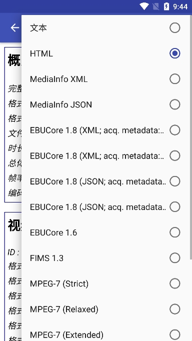 匯出格式選項