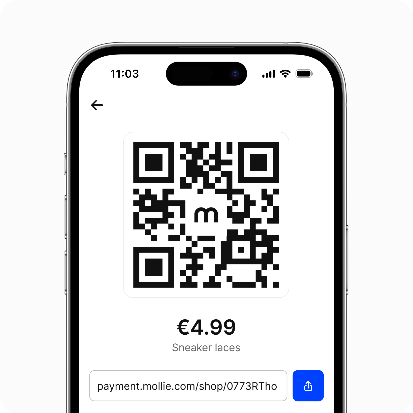Mollie App 管理與設置界面