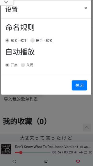 设置弹窗，包含自动播放与命名规则选项