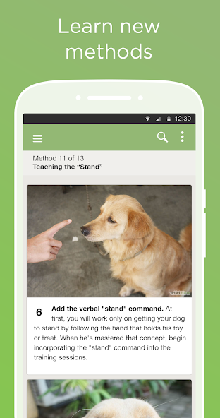 wikiHow 的多方法文章：同一目標提供兩套並行方案